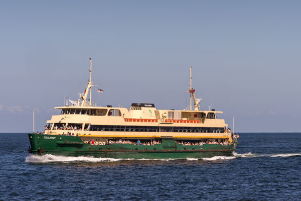 media alert valentines day manly ferry