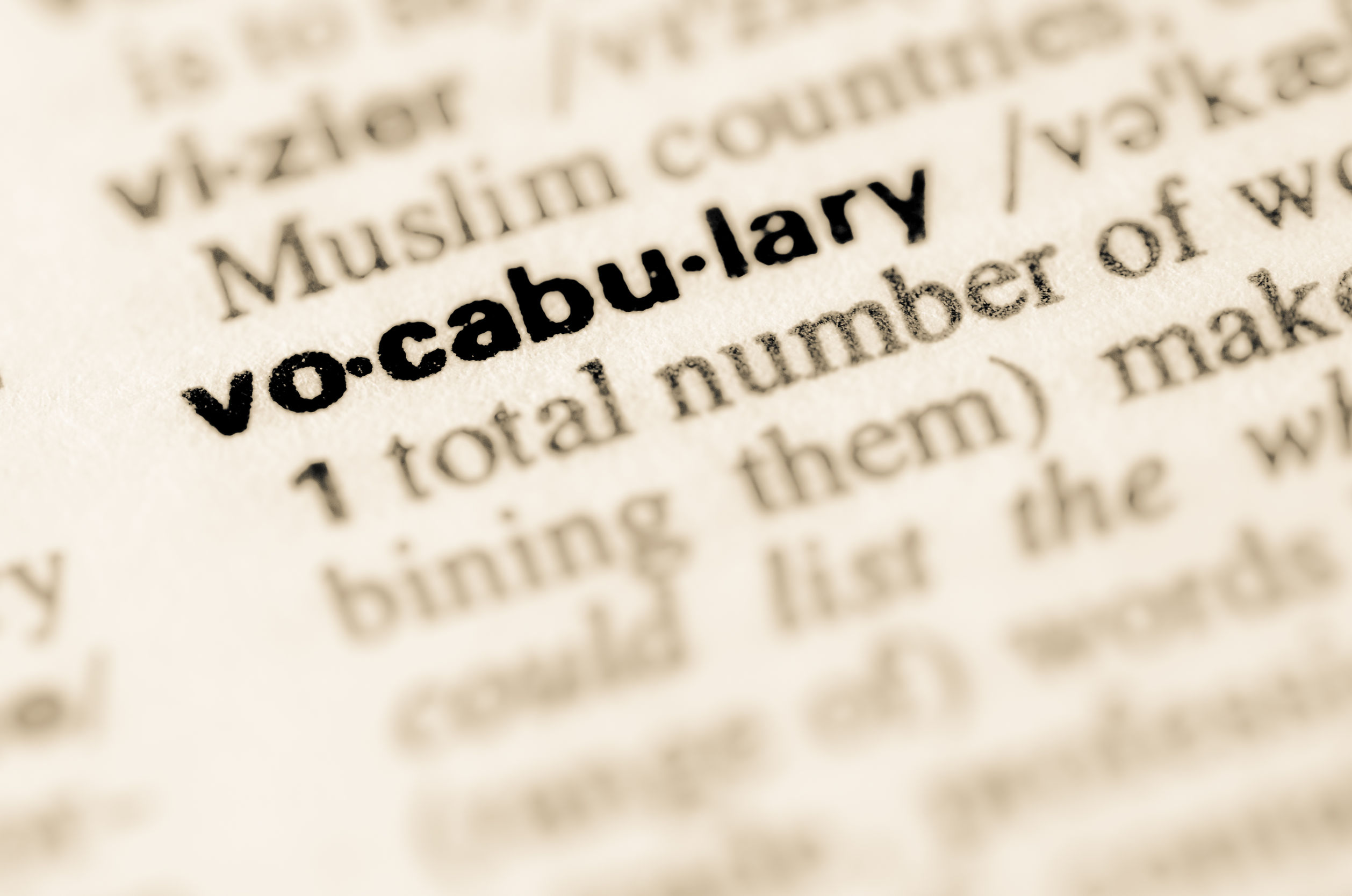 Photo vocabulary. Vocabulary. Vocabulary картинка. Vocabulary надпись. Vocabulary заставка.