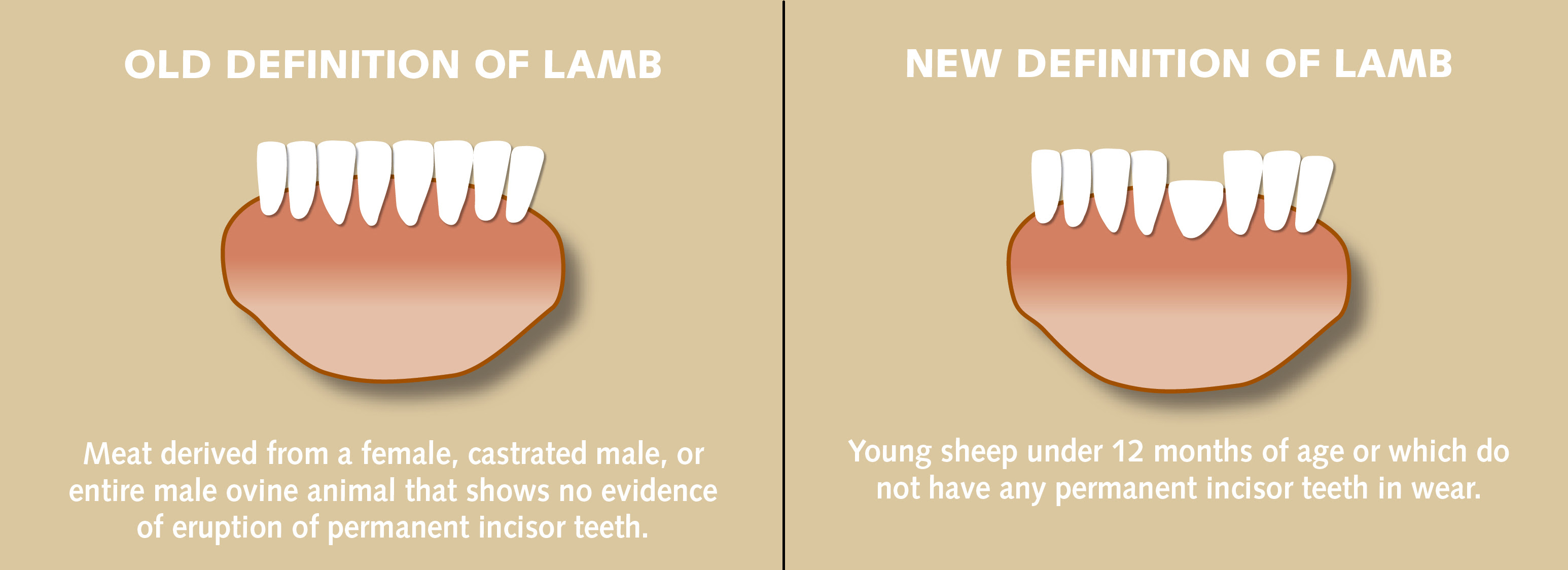 definition-of-lamb-to-change-2gb