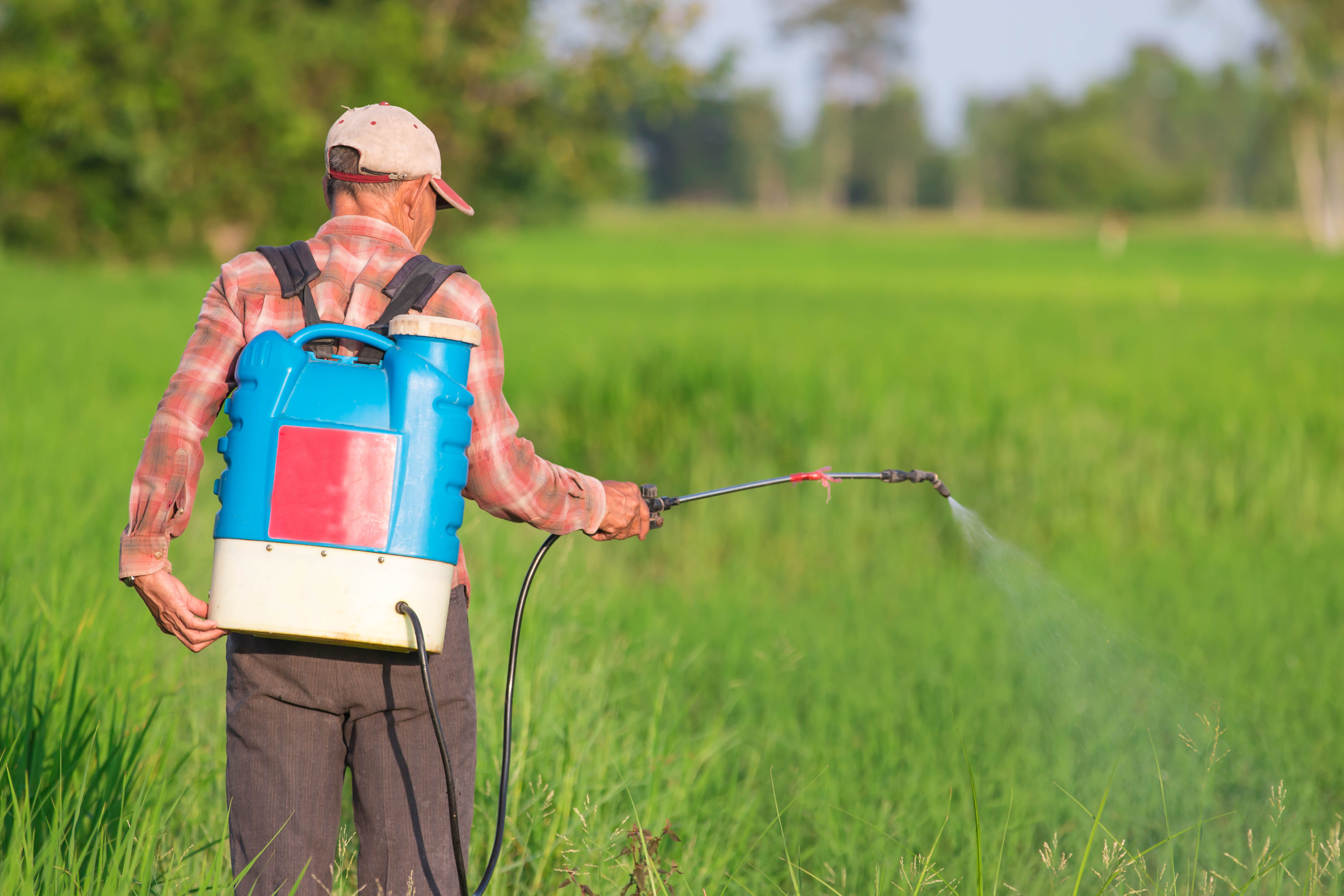 Safety of Chemical in Weed Killer