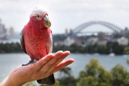 Taronga is the place to be for these School Holidays