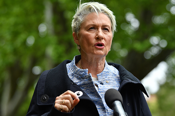 Kerryn Phelps ‘not surprised’ by Turnbull’s Wentworth absence