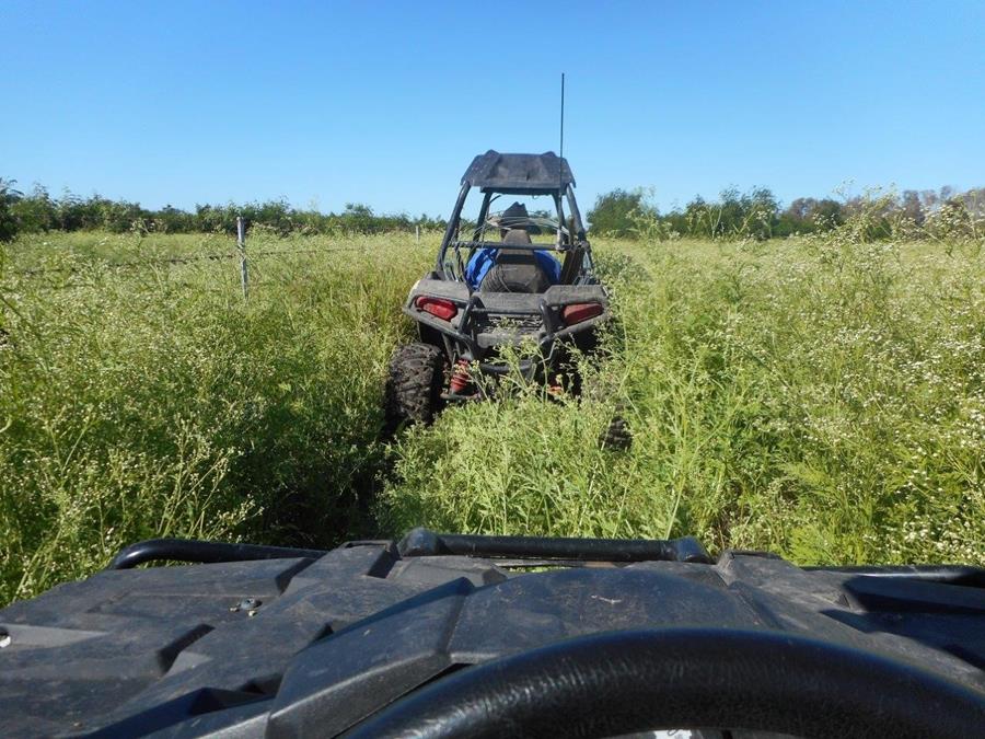 Tools to Tackle Weeds