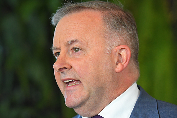 'We start again': Anthony Albanese's plan to reform Labor's policies - 2GB