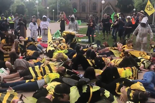 Extinction Rebellion protesters wreck havoc in Sydney CBD