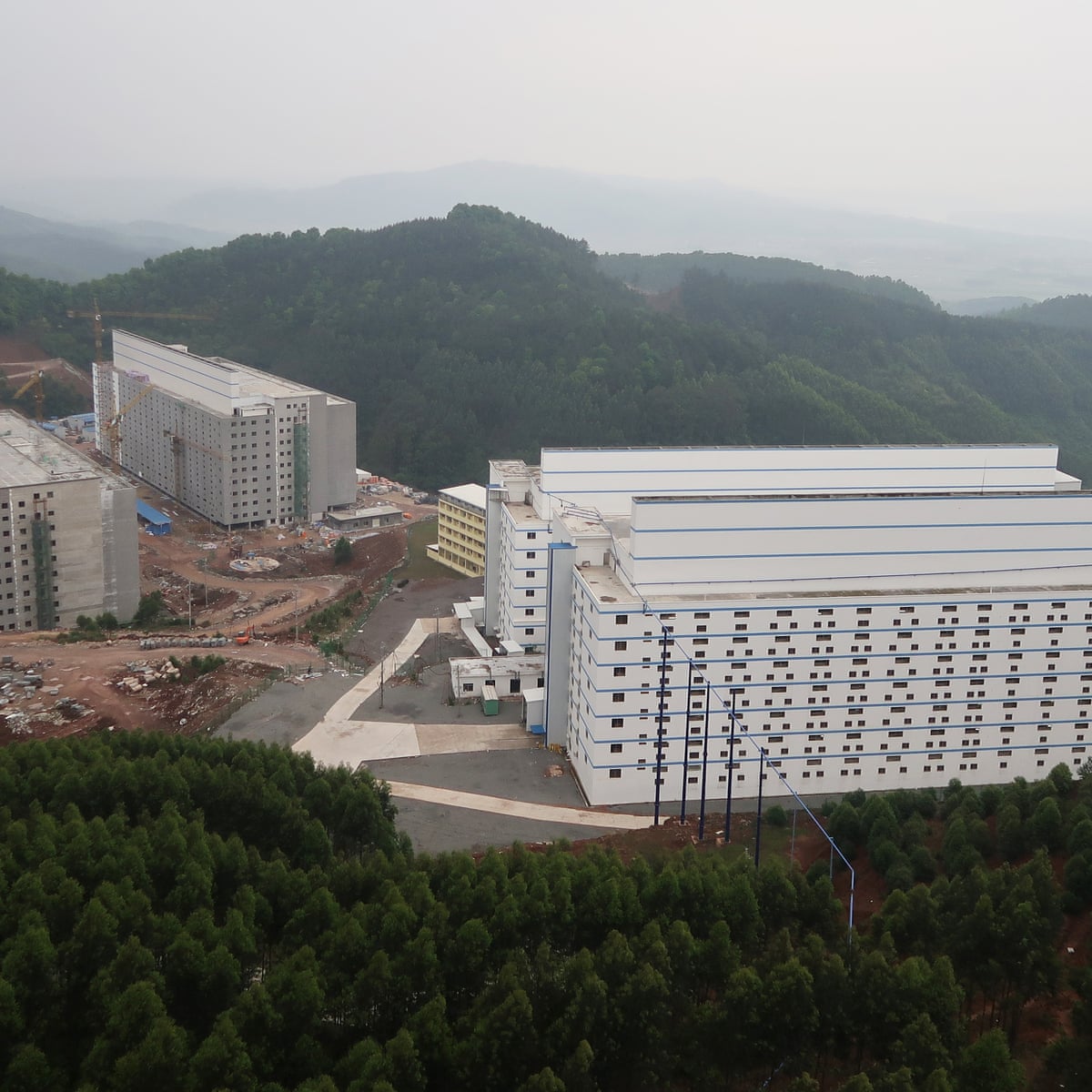 Largest Pig Farm In China