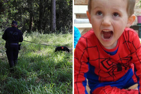 Search for William Tyrrell’s remains resumes with police operation in Kendall