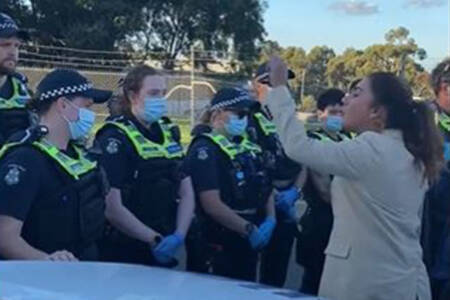 ‘Fruitcake’ Greens Senator unleashes on police