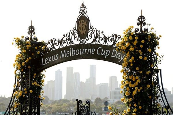 Article image for Melbourne Cup 2022: All the best tips from Nic Ashman