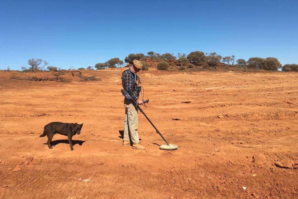 Article image for Gold prospector braves remote outback in search of treasure