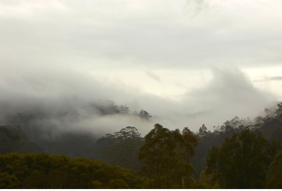 Article image for Bundanon event to offer visitors a ‘unique cultural experience’