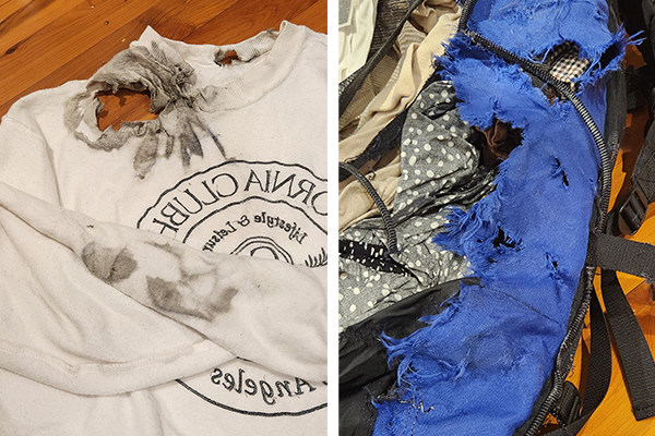 Article image for PHOTOS | Listener’s bag shredded up after international Sydney flight