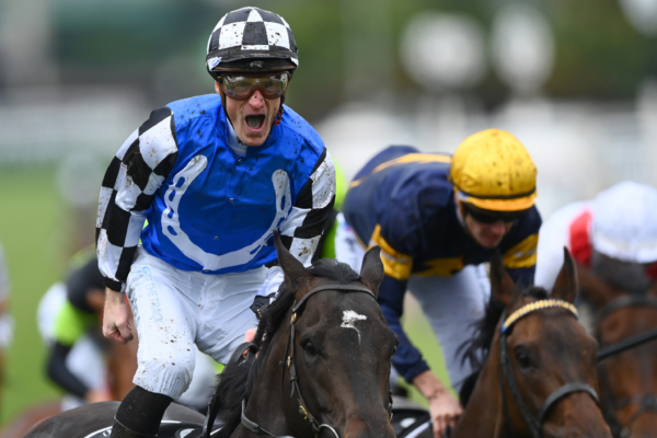 Article image for Jockey Mark Zahra reacts after Gold Trip wins the Melbourne Cup