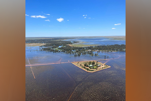 Article image for IMAGE: Insane flooding in Hillston causes subsiding