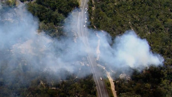 Article image for Call for witnesses after plane crash southwest of Sydney