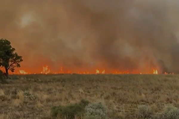 Article image for WATCH | Flames engulf property in Walgett NSW