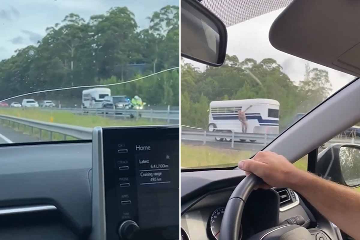 Bruce Highway slows to a crawl as naked man hitches ride on horse float