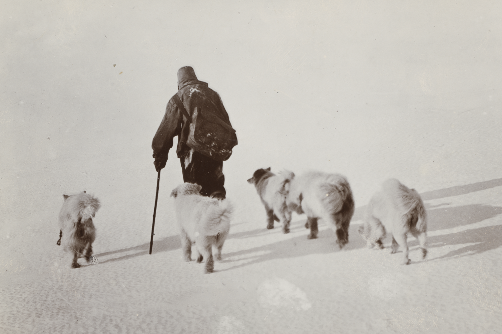 Article image for GALLERY | Rare new images of Antarctic expeditions released