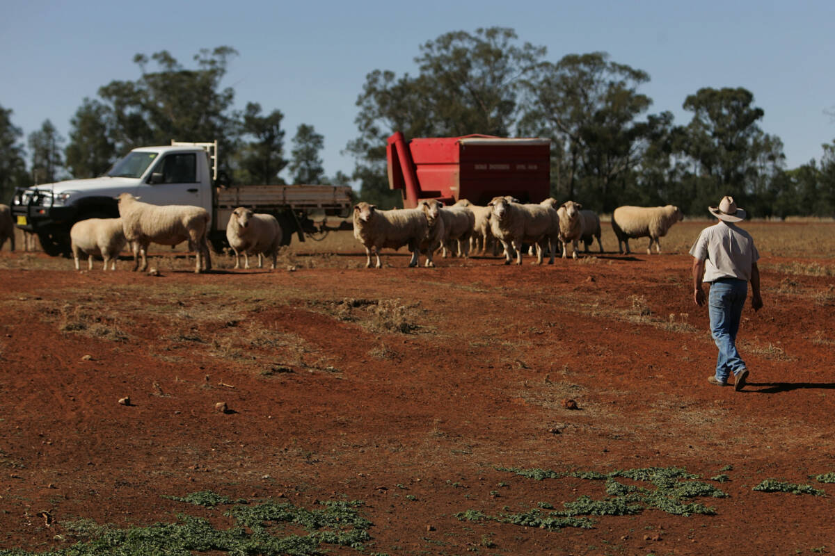 Article image for ‘Unsung heroes’: Aussie farmers get the praise they deserve