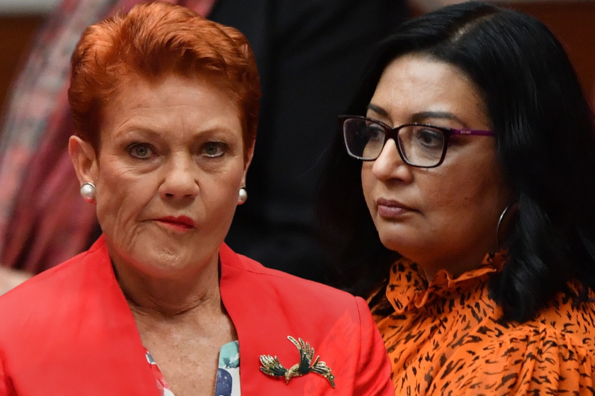 ‘go To Anti Racism Training Pauline Hanson Sued Over Tweet