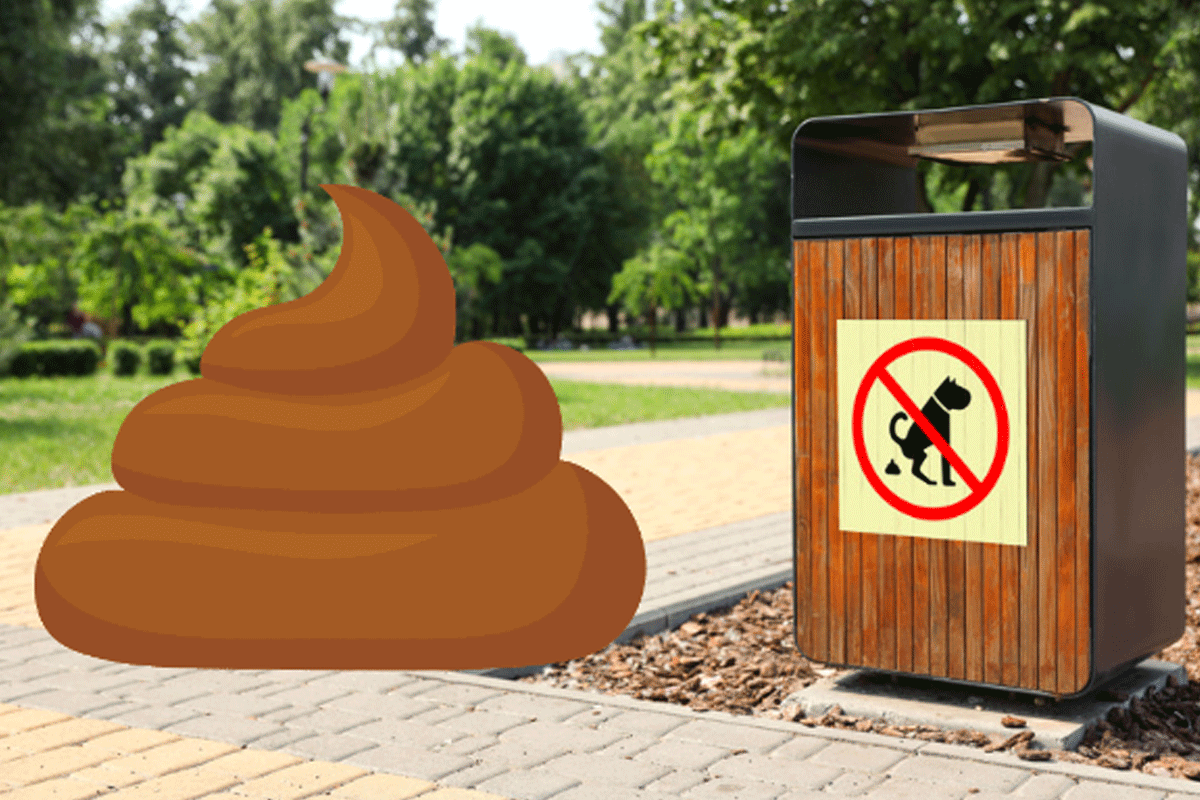 Article image for ‘Holy sh*t’: Dog poo drama involving church bin