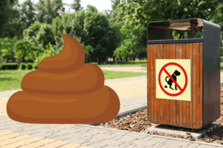 ‘Holy sh*t’: Dog poo drama involving church bin