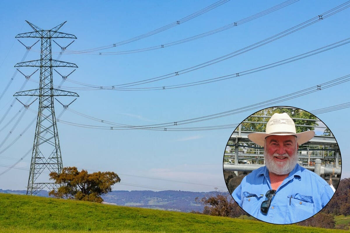 Article image for ‘Last man standing’: Farmers fight renewables project on their land