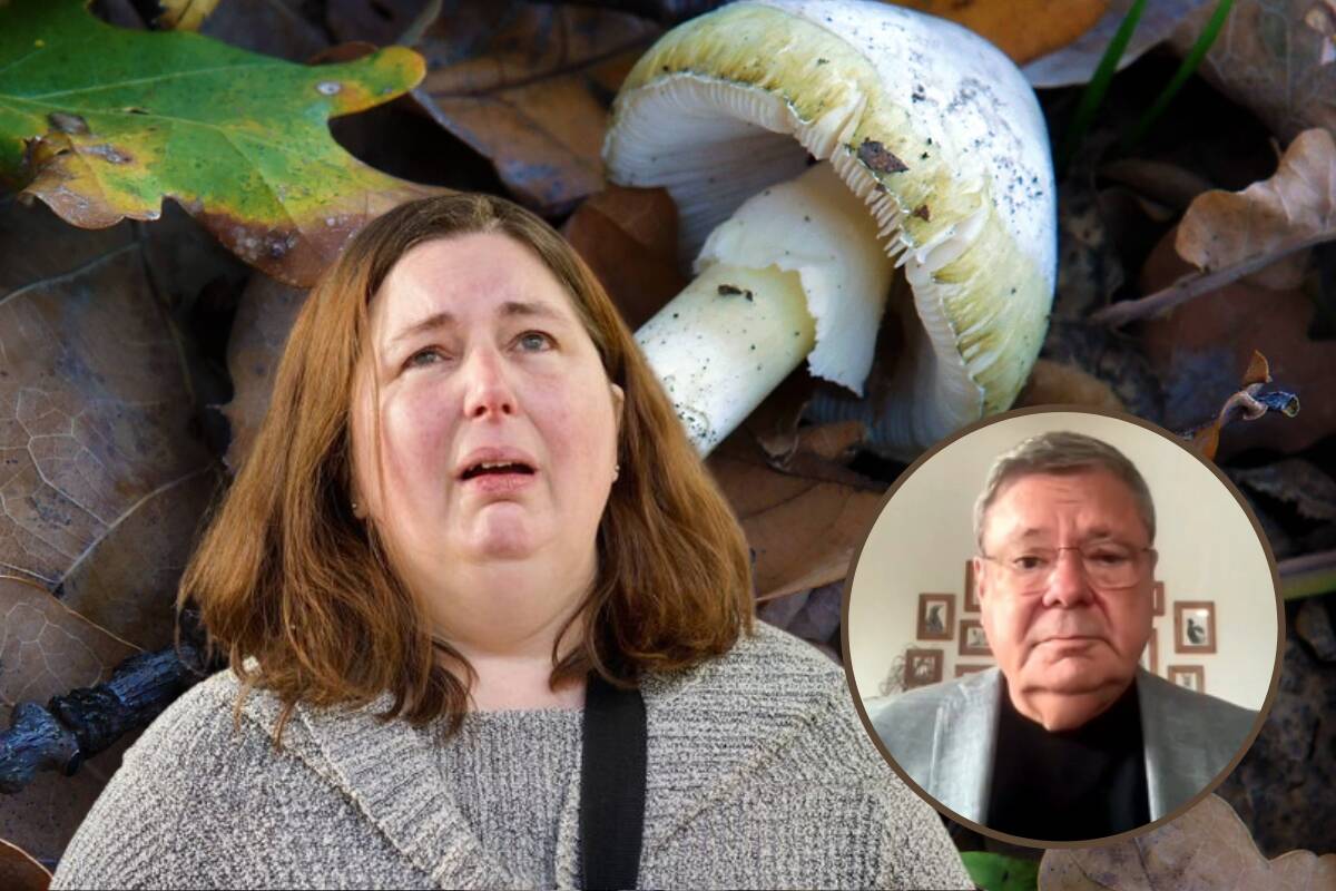 Article image for Red flags: Criminal psychologist on killer mushroom mystery