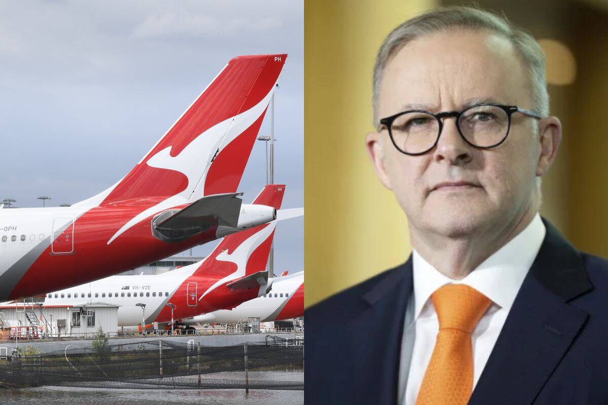 Article image for ‘Done more damage than The Voice’: Chris slams Albo’s Qantas alliances after landmark High Court decision