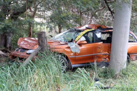 Growing road toll in NSW and Victoria a major concern