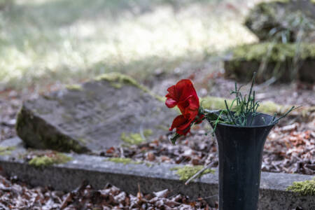 Cemeteries into the Future