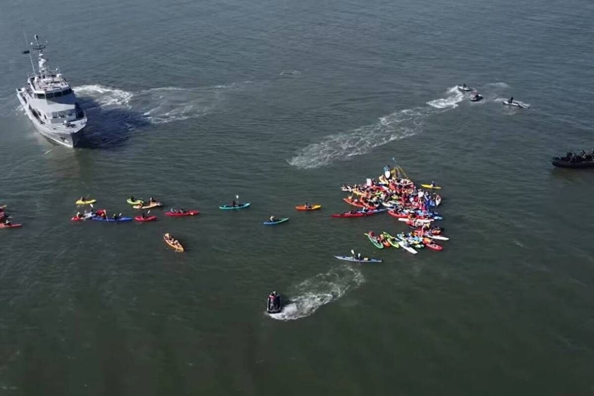 Article image for ‘They’re doing nothing about it’ – Climate protestors plan HUGE blockades for major port