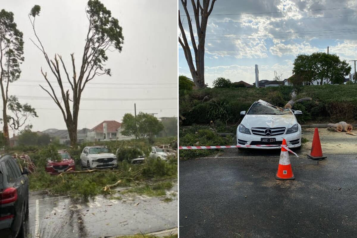 Article image for ‘Be afraid’ – Aussies told to prepare after mass blackouts in Victoria