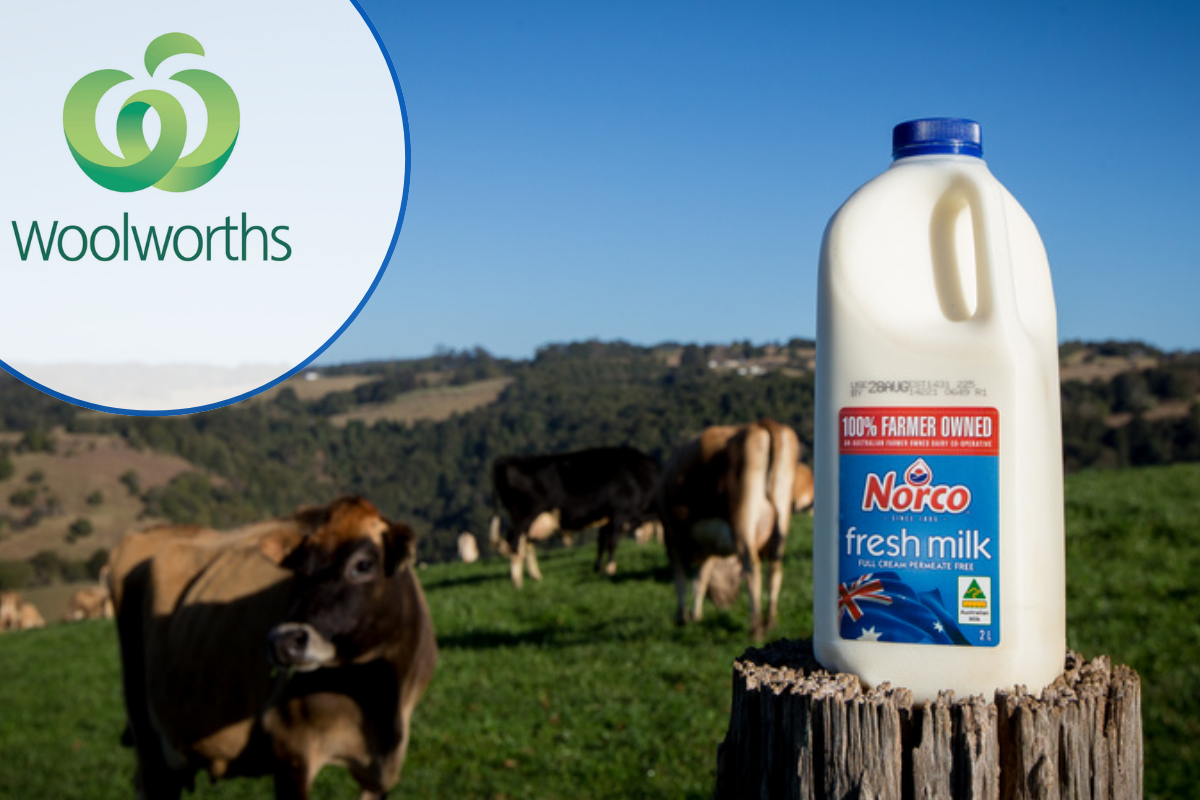 Article image for ‘Devastating’ – Woolworths turns its back on Aussie milk company