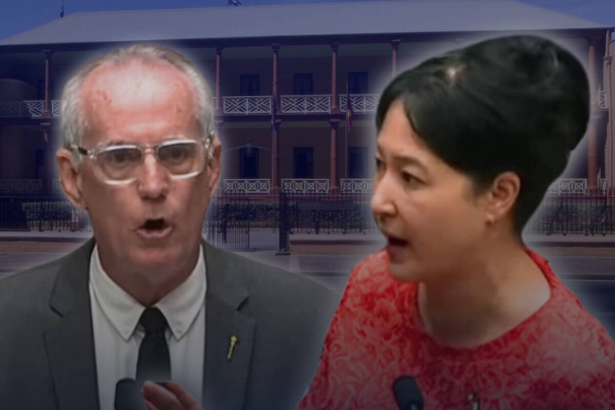 Article image for ‘Playing the race card’ – Greens MP involved in UNHINGED outburst