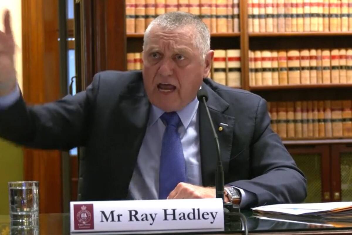 Article image for ‘Blow up’ – Ray Hadley explodes at parliamentary inquiry