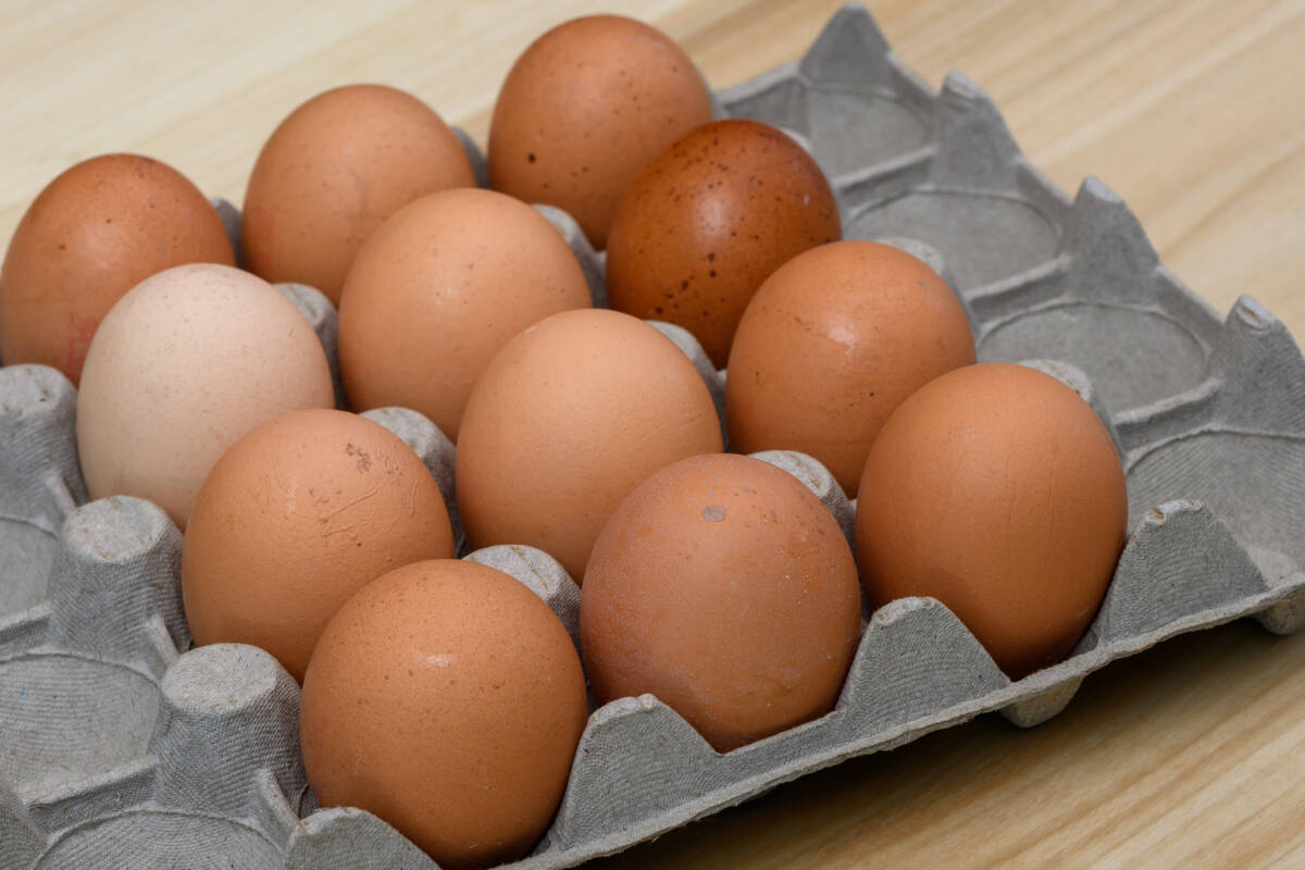 Article image for Expert believes egg issue has been ‘overblown’ by the media