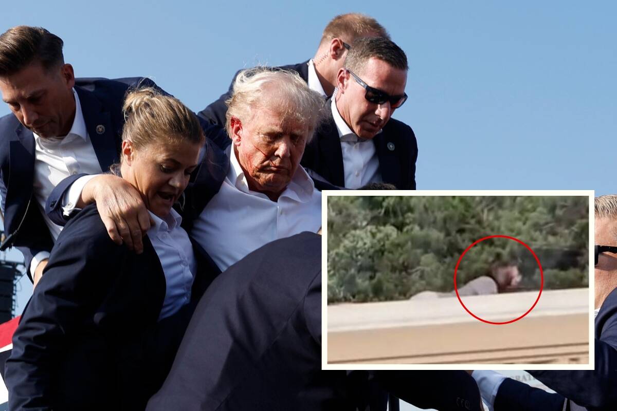 Article image for ‘Mistakes made’ – Secret Service insider on Donald Trump shooting