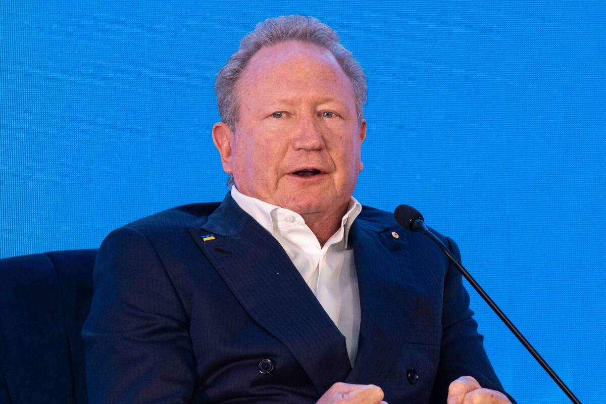 Article image for ‘Twiggy snaps’ – Andrew Forrest axes jobs and green dreams