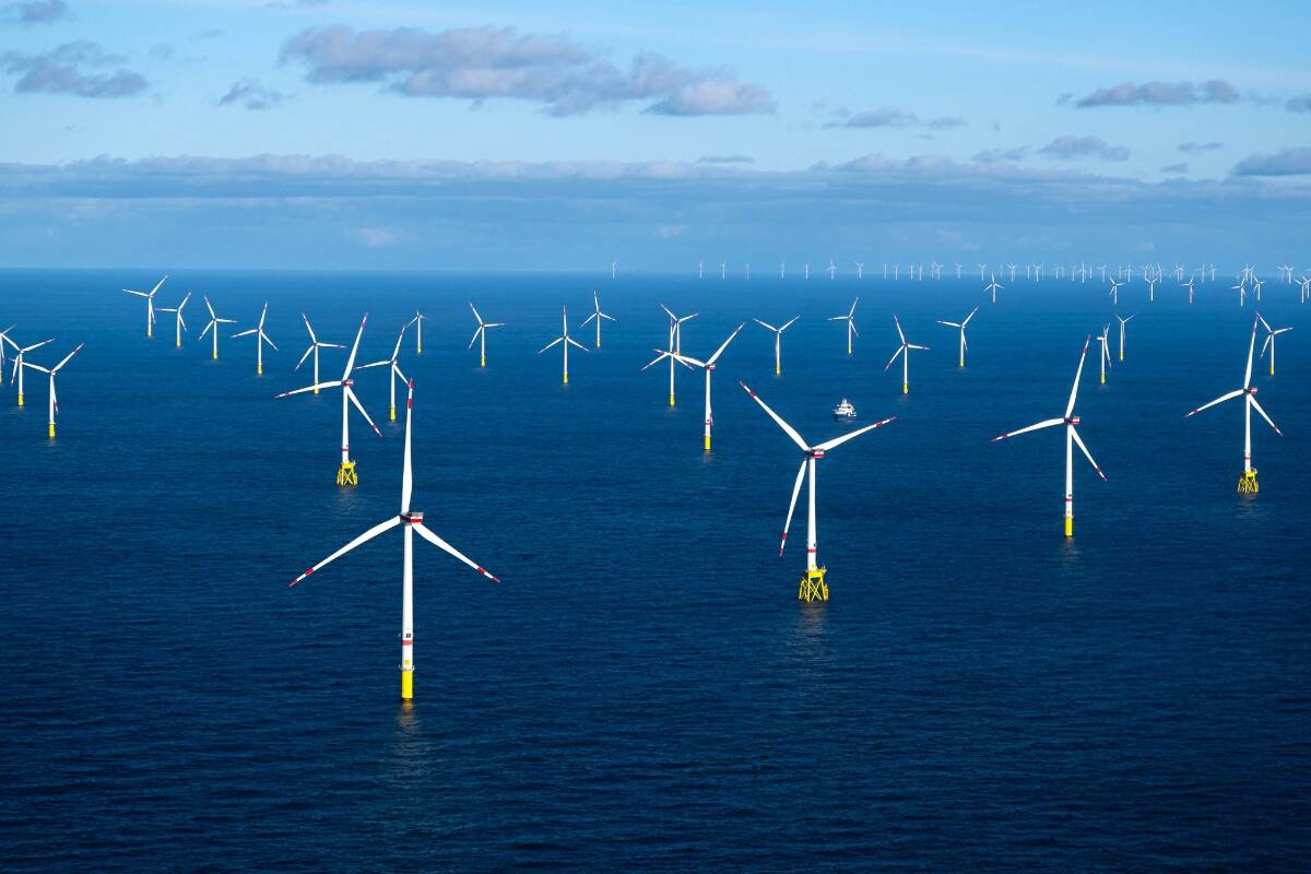 Article image for ‘Vacuum sealed’ – Locals kept out of offshore wind farm discussions
