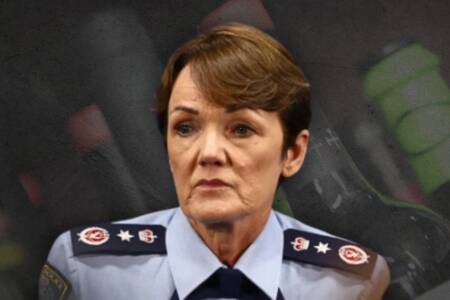 ‘Protected species’ – Top cop Karen Webb busted in booze scandal