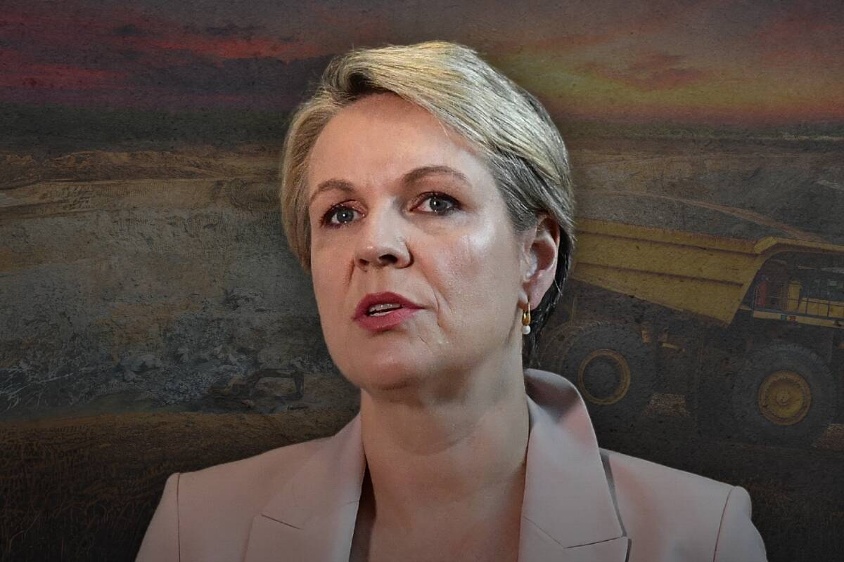 Article image for ‘Secrets and myths’ – Why did Tanya Plibersek block a gold mine?