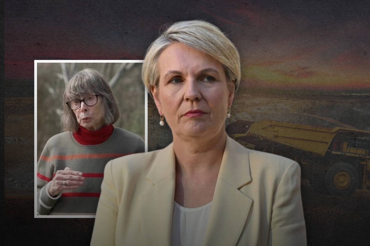 Article image for ‘Lies and spin’ – Tanya Plibersek backflips on gold mine