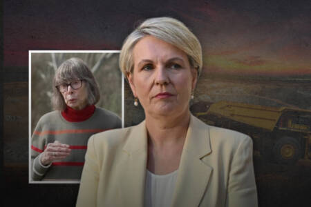 ‘Lies and spin’ – Tanya Plibersek backflips on gold mine