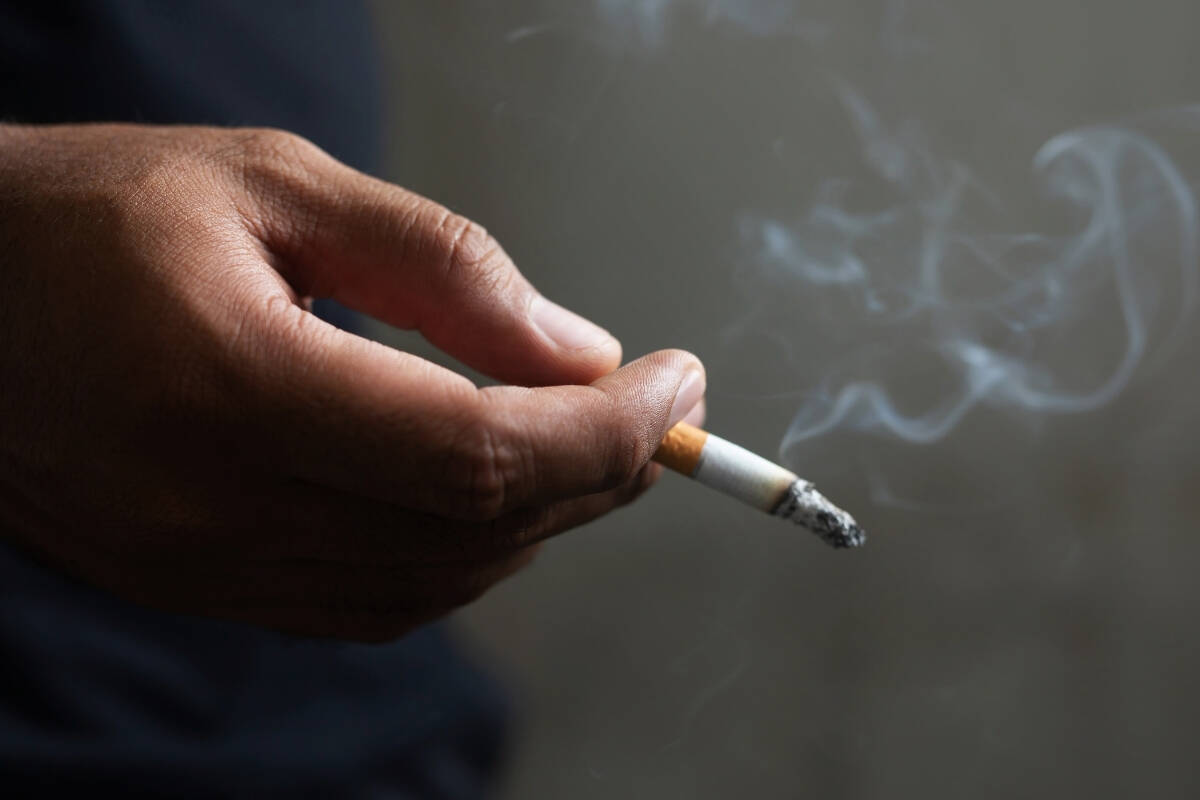 Article image for ‘Violent black market’: Expert’s crime warning as cigarette prices rise