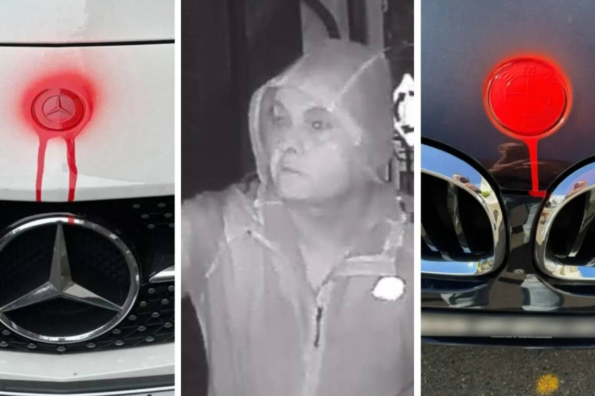 Article image for ‘They got him’ – Arrest made over car vandalism spree