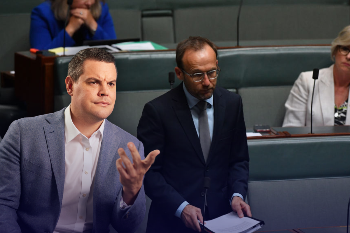 Article image for Chris O’Keefe’s message to Adam Bandt over his ‘Robin Hood’ tax reforms