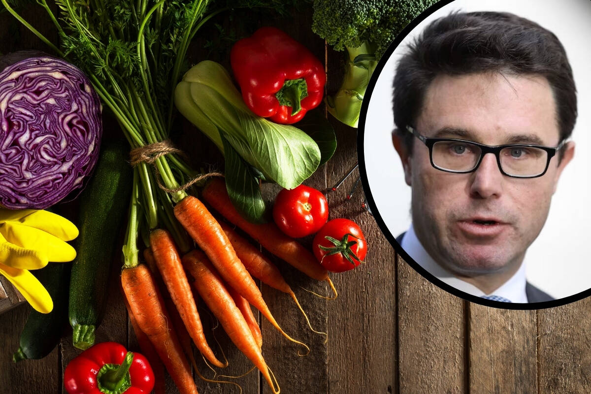 Article image for Nationals leader calls for action over vegetable industry fears