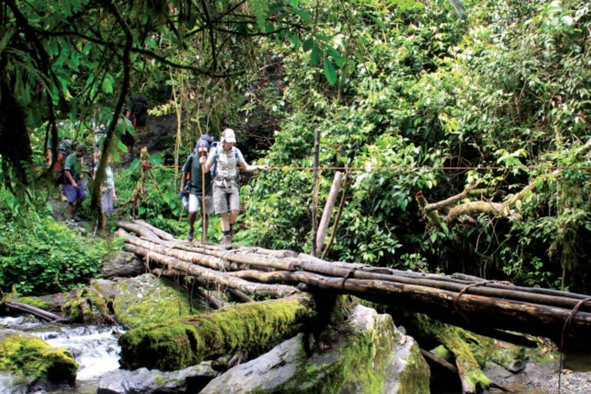 Article image for ‘In limbo’ – Kokoda Track shut indefinitely