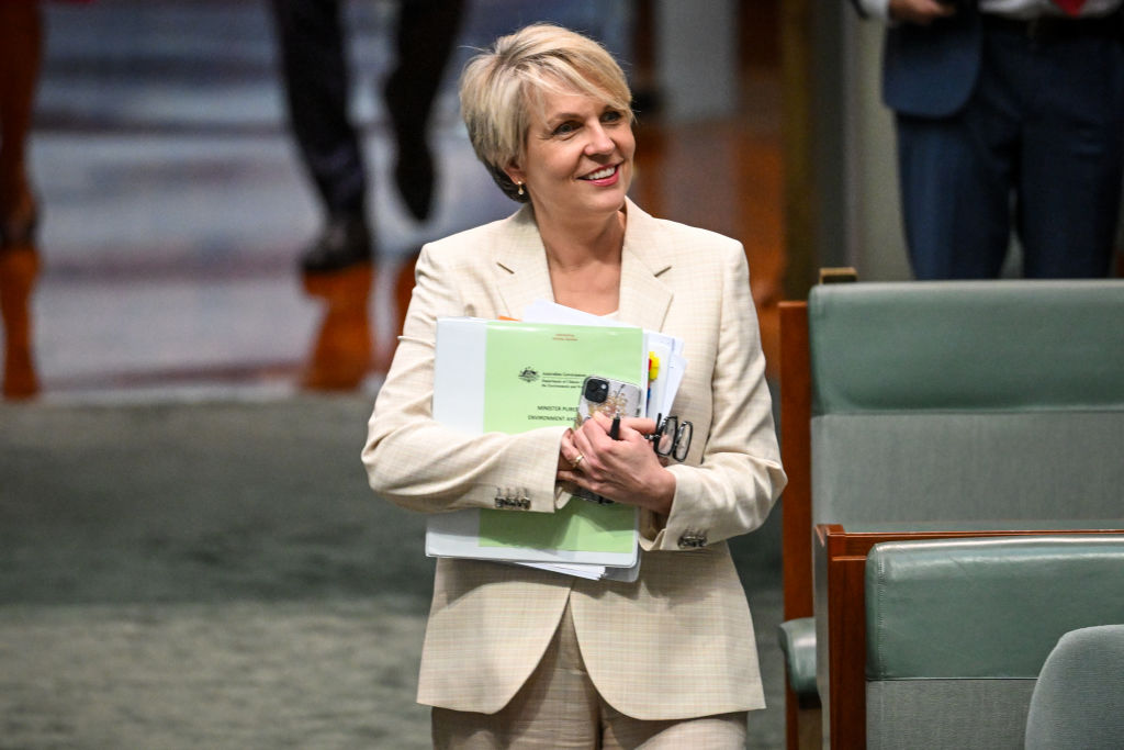 Article image for Nationals MP pushes for PM intervention into Plibersek’s implementation of section 10 on stretch of road 